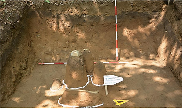 유해 발굴 현장의 모습.