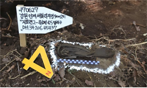 유해 발굴 현장의 모습.