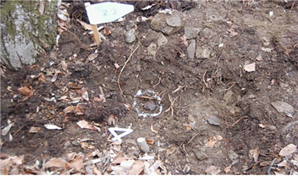 이런 지형을 발굴하여 전사자들의 유해를 찾아내는 것이다.