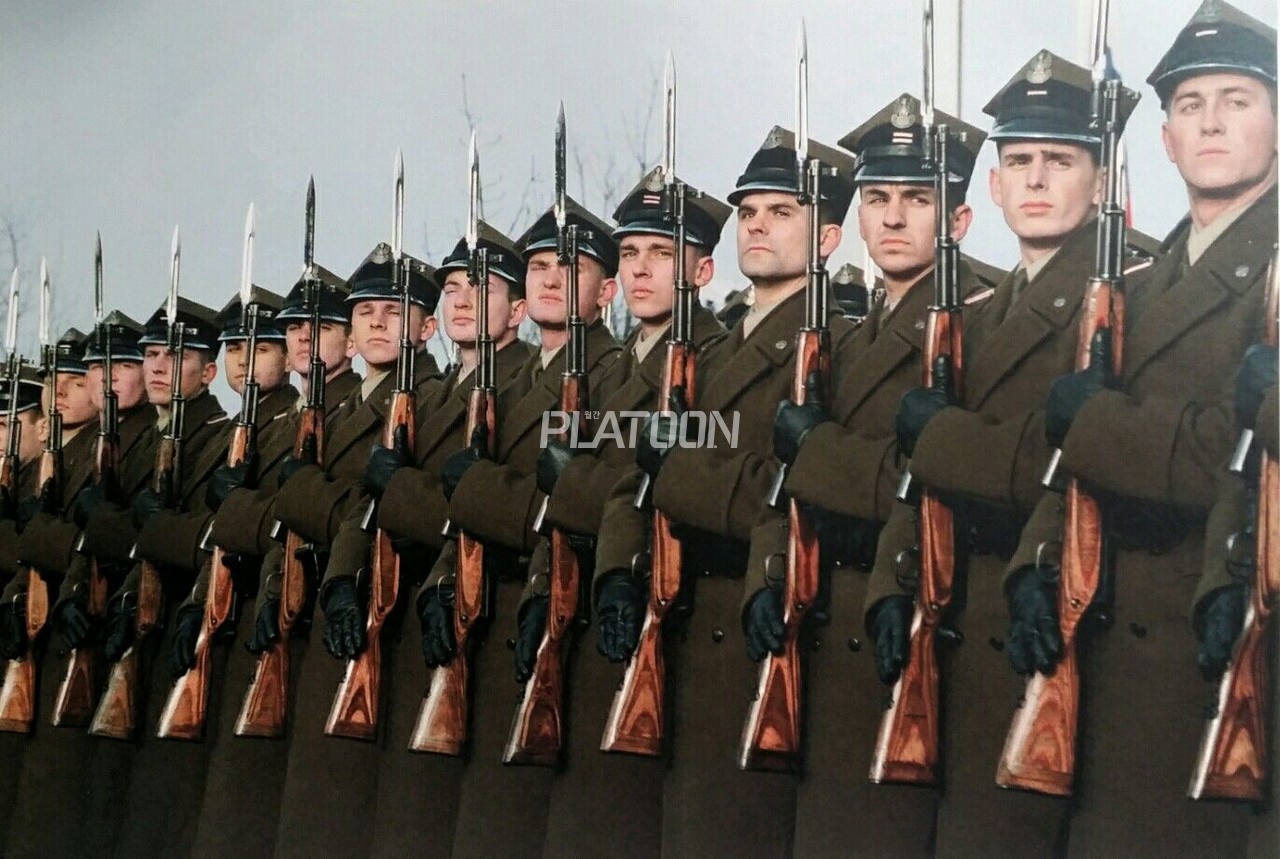 폴란드 군 의장대원들은 MSBS Grot R을 의장용 화기로 채택하기 이전까지만 해도 시모노프 SKS를 의장용으로 운용해왔다. 